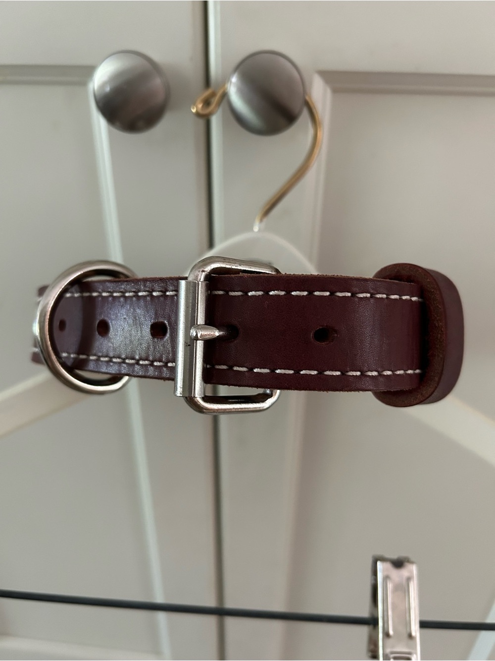 Ray Allen Heavy Duty Latigo Leather Dog Collar
